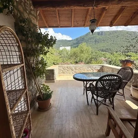 Orman Icinde Muhtesem Villa
