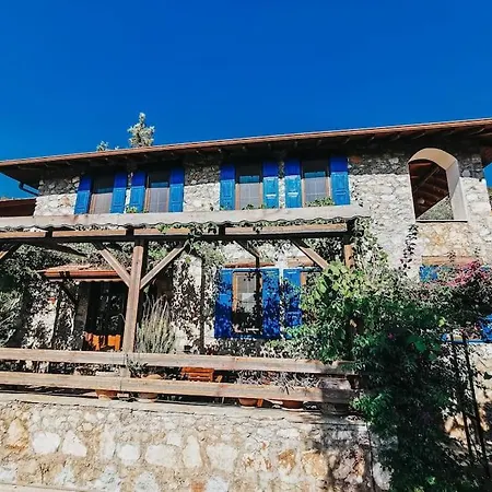 Orman Icinde Muhtesem فيلة كاياكوي