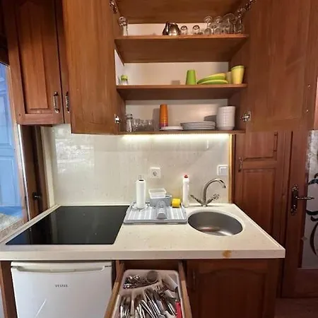 Orman Icinde Muhtesem فيلة